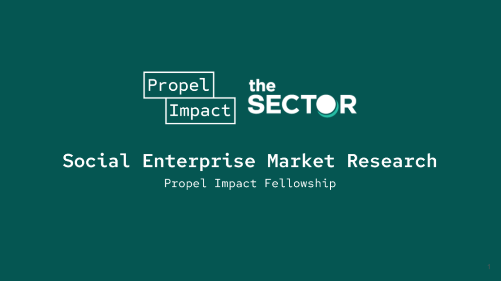 Social Enterprise Market Research – Propel Impact Fellowship